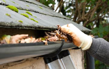 gutter cleaning Brownlow